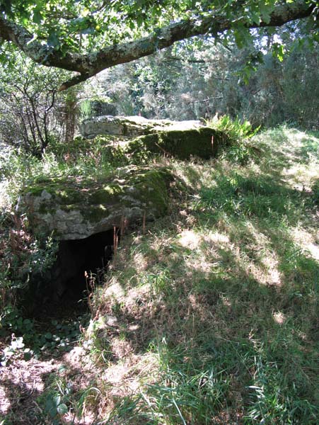 Dolmens de Kervilor-Man&eacute; Bras